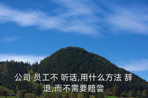 如何合理辭退不聽話員工,員工不聽話不服從安排可以辭退嗎