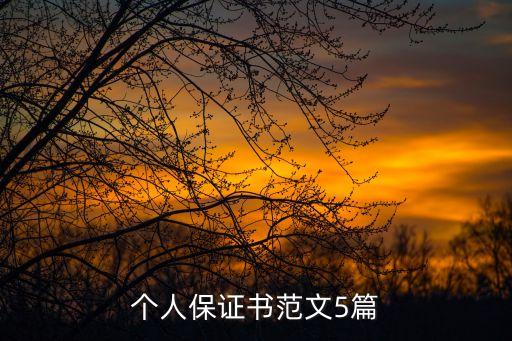 個人承諾書范本,承諾書的樣本