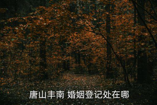唐山正規(guī)的婚姻介紹所,沈陽婚姻介紹所哪家比較好正規(guī)