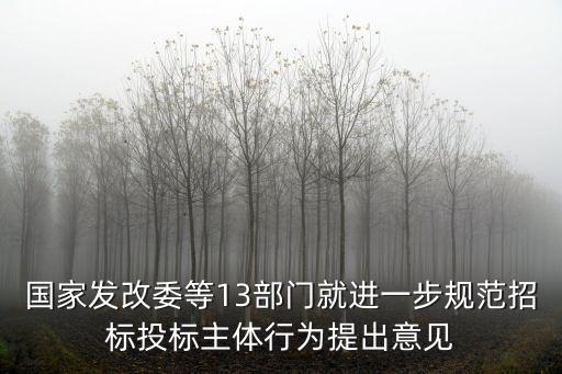 2022年招投標(biāo)法實(shí)施細(xì)則,《招標(biāo)投標(biāo)法實(shí)施條例》