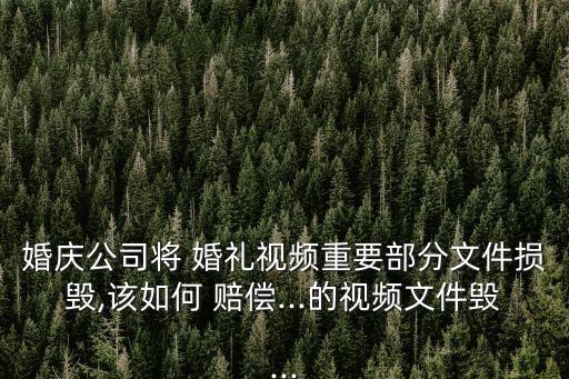 婚禮錄像模糊不清賠償標(biāo)準(zhǔn)