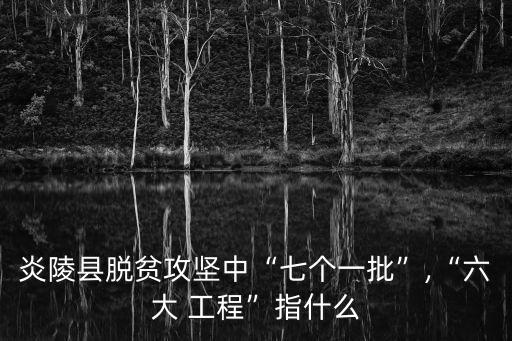 扶貧工程,西部大開發(fā)人力資源雙向扶貧工程