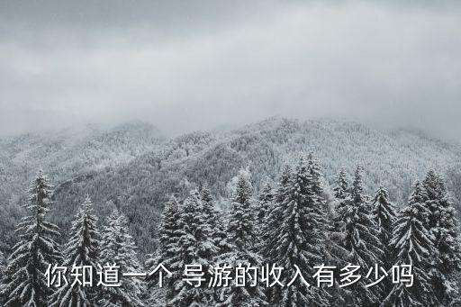 導(dǎo)游工資,北京導(dǎo)游工資