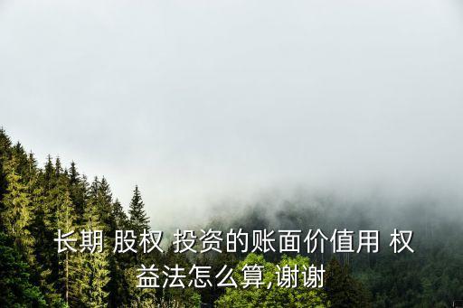 長期股權(quán)投資權(quán)益法