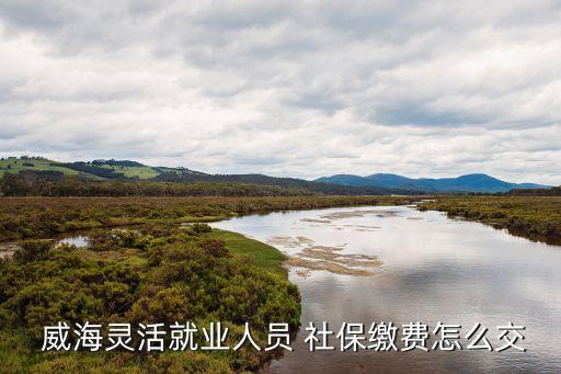 威海社保
