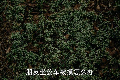 公交車上被人摸