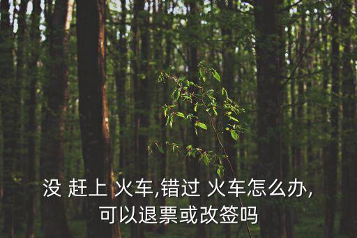 火車(chē)沒(méi)趕上怎么辦,今天的火車(chē)時(shí)刻表
