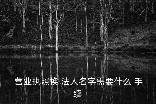  營(yíng)業(yè)執(zhí)照換 法人名字需要什么 手續(xù)