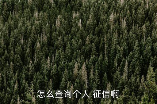 人民銀行個人征信,怎么查詢?nèi)嗣胥y行個人征信