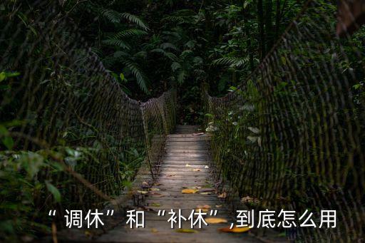 調(diào)休單
