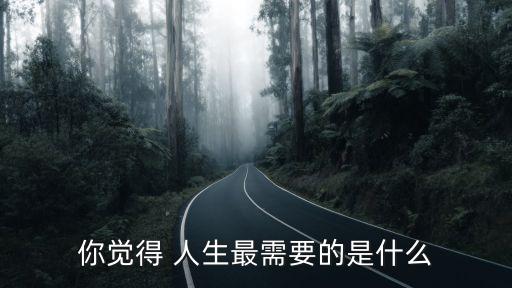 人生需要什么
