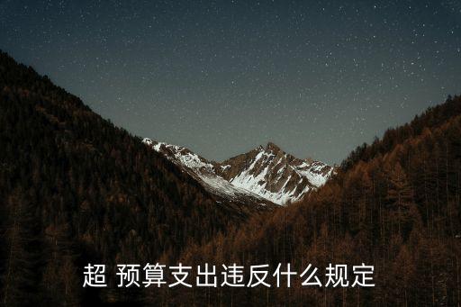 預(yù)算法實(shí)施條例,項(xiàng)目資金管理實(shí)施細(xì)則