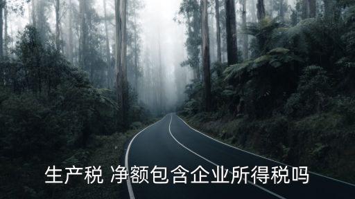 生產(chǎn)稅凈額,什么是生產(chǎn)稅凈額
