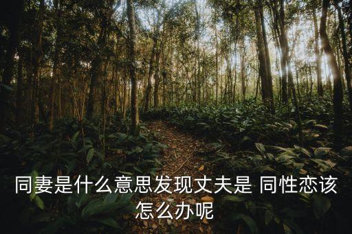 老公是同性戀