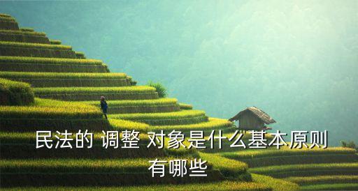 民法的調(diào)整對象包括,如何理解我國民法的調(diào)整對象