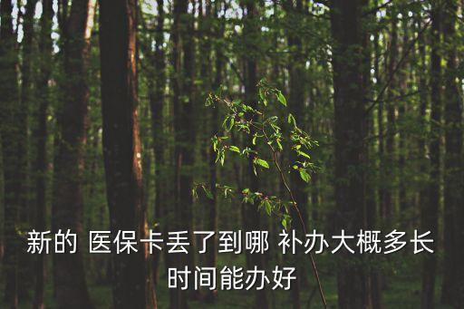 補(bǔ)辦醫(yī)保卡要多久,北京補(bǔ)辦醫(yī)?？ㄒ嗑?/></a></span><span id=