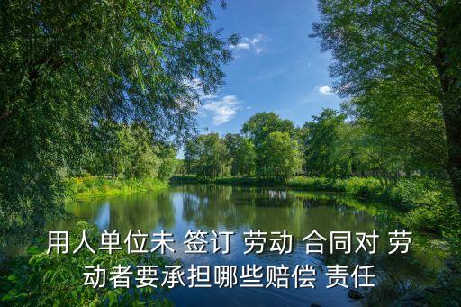 用人單位未 簽訂 勞動(dòng) 合同對(duì) 勞動(dòng)者要承擔(dān)哪些賠償 責(zé)任