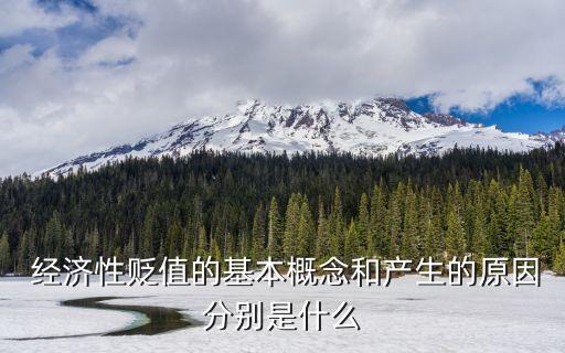  經(jīng)濟(jì)性貶值的基本概念和產(chǎn)生的原因分別是什么