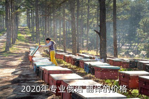 2020年專業(yè)俄語 翻譯的價格