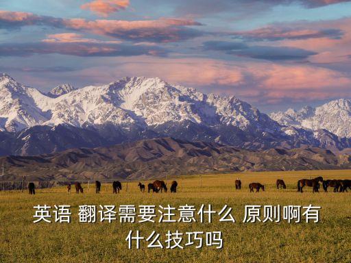  英語(yǔ) 翻譯需要注意什么 原則啊有什么技巧嗎