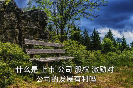 上市公司股權(quán)激勵(lì),股權(quán)激勵(lì)是好事還是壞事