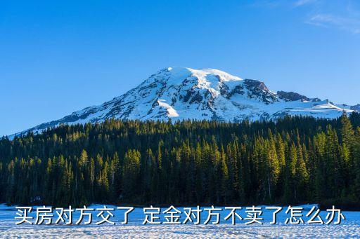 定金賣方違約怎么辦,買二手房付定金后賣方違約
