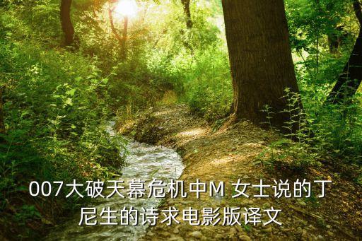 m女士