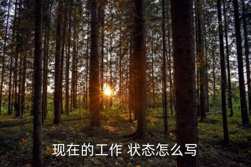 現(xiàn)在的工作 狀態(tài)怎么寫