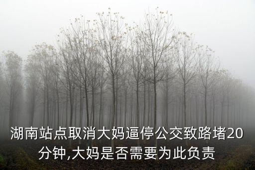 湖南站點(diǎn)取消大媽逼停公交致路堵20分鐘,大媽是否需要為此負(fù)責(zé)