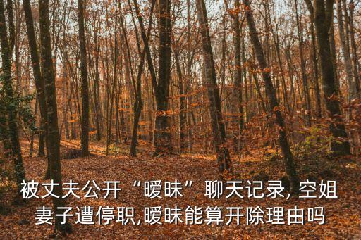 我的老婆是空姐,妻子的秘密免費(fèi)讀全文