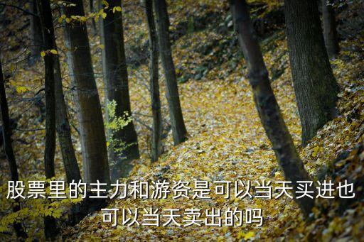 股票里的主力和游資是可以當(dāng)天買進(jìn)也可以當(dāng)天賣出的嗎