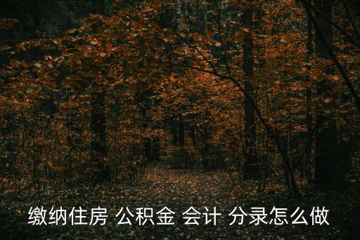 繳納住房 公積金 會計 分錄怎么做