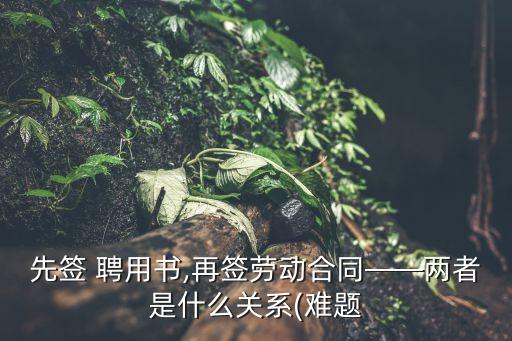 聘用書