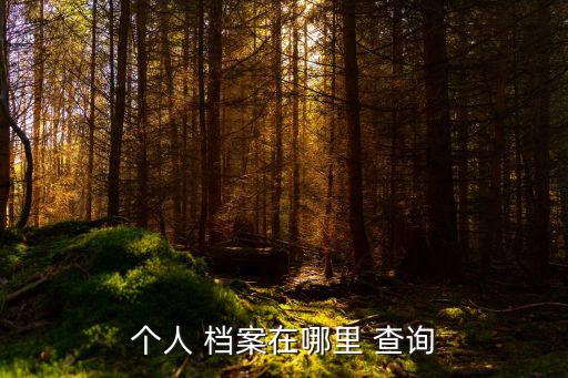 人事檔案查詢,12333個(gè)人檔案查詢系統(tǒng)