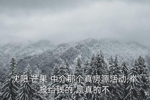 芒果中介