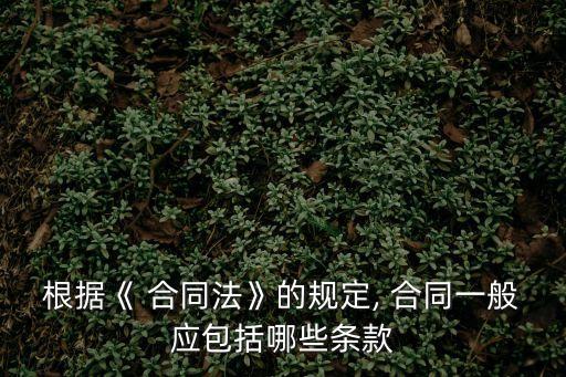 正式合同包含什么法律問題