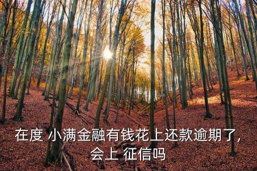 度小滿上征信嗎,網(wǎng)貸逾期了暫時還不上怎么辦