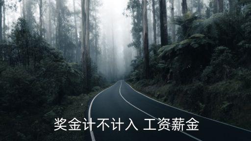  獎(jiǎng)金計(jì)不計(jì)入 工資薪金