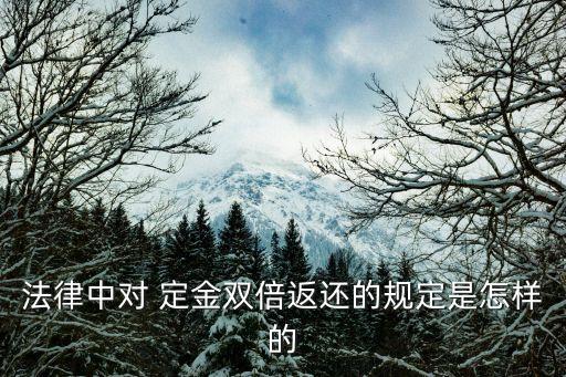 民法典中關(guān)于定金的規(guī)定最新