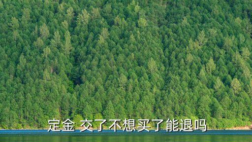 定金交了可以退嗎,租房子的定金交了可以退嗎