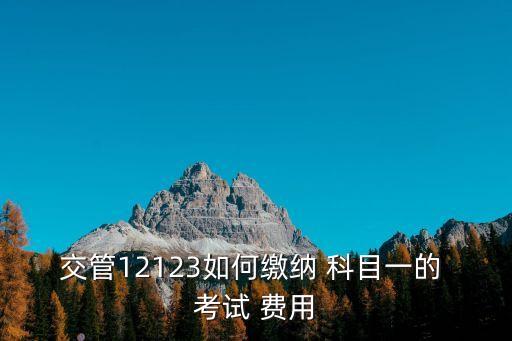 交管12123如何繳納 科目一的 考試 費(fèi)用