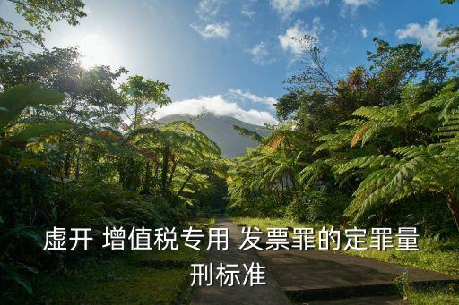虛開增值稅發(fā)票罪
