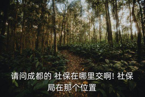 錦江區(qū)社保局,金石路166號(hào)天府寶座錦江區(qū)社保局