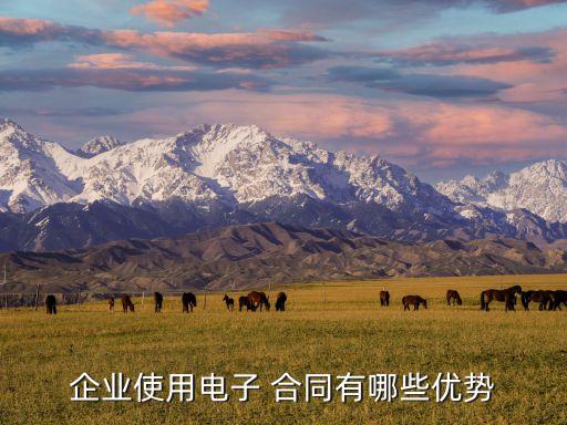 合同管理方案模板圖片,汽車抵押貸款合同模板圖片