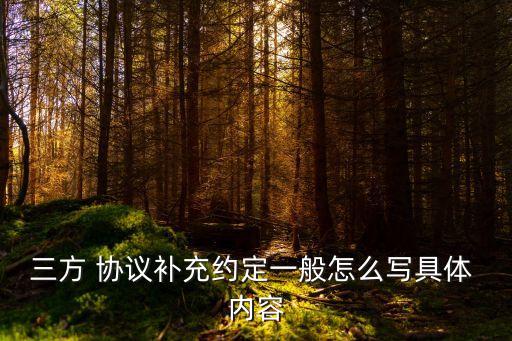 附加協(xié)議簽字內(nèi)容,協(xié)議附加條款均無簽字有效嗎