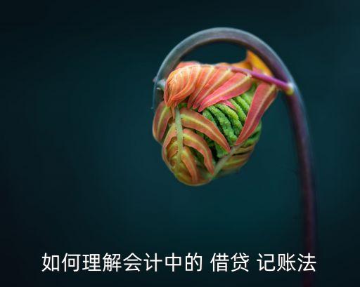 借貸記賬法的特點(diǎn),會計借貸記賬方法