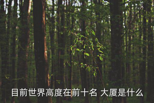 目前世界高度在前十名 大廈是什么