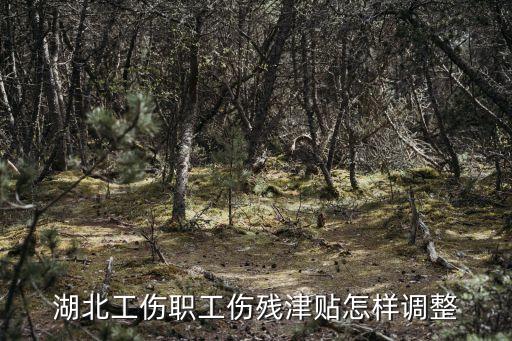 湖北省人力資源和社會保障廳