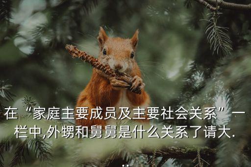 在“家庭主要成員及主要社會關(guān)系”一欄中,外甥和舅舅是什么關(guān)系了請大...
