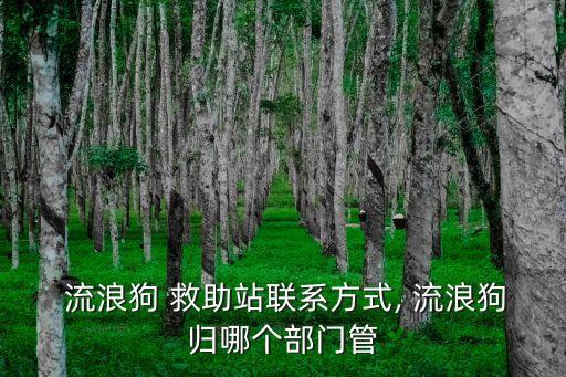 流浪動(dòng)物救助站,上海流浪動(dòng)物救助站